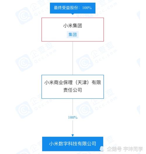 小米數(shù)字科技經(jīng)營異常引關(guān)注，旗下小米支付及信息系統(tǒng)運(yùn)行維護(hù)服務(wù)將受何影響？