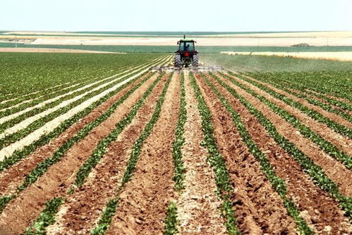 豆粕價(jià)格 連豆粕尾盤暴力拉升90元 噸 原因竟然是它